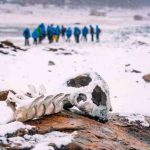 Arctic expedition complete guide fjallraven provided gear