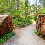 Mountain Biking in National Parks